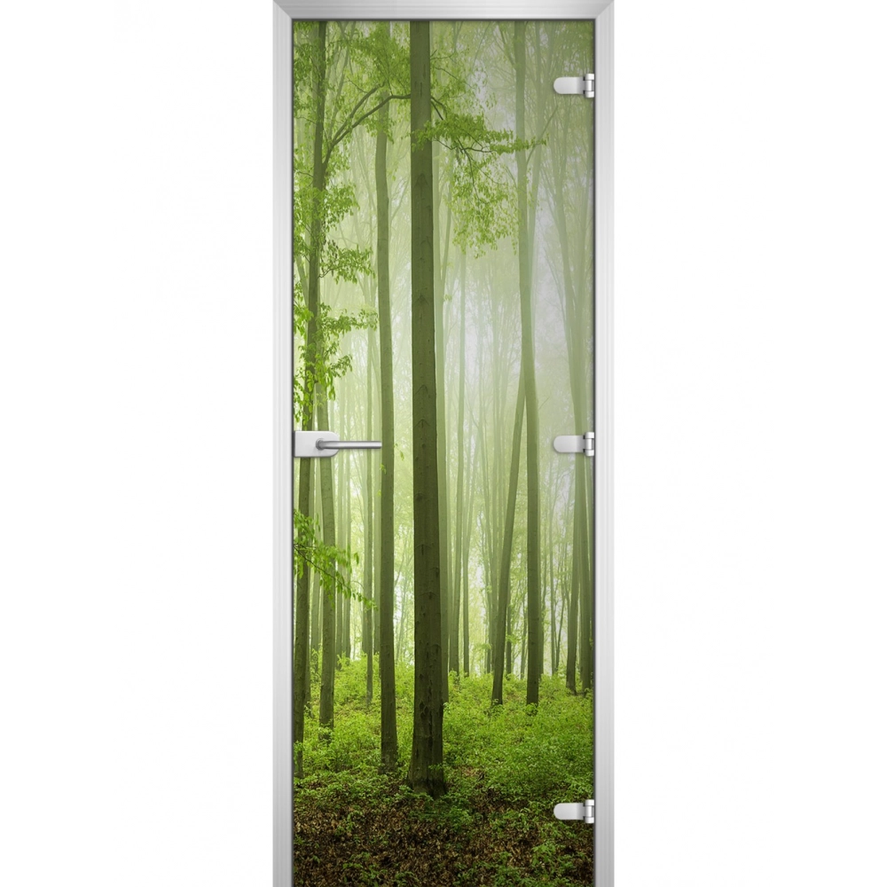 Стеклянная дверь Forest-15