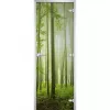 Стеклянная дверь Forest-15