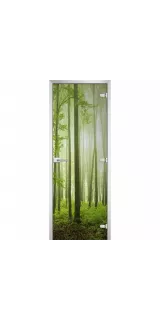 Стеклянная дверь Forest-15