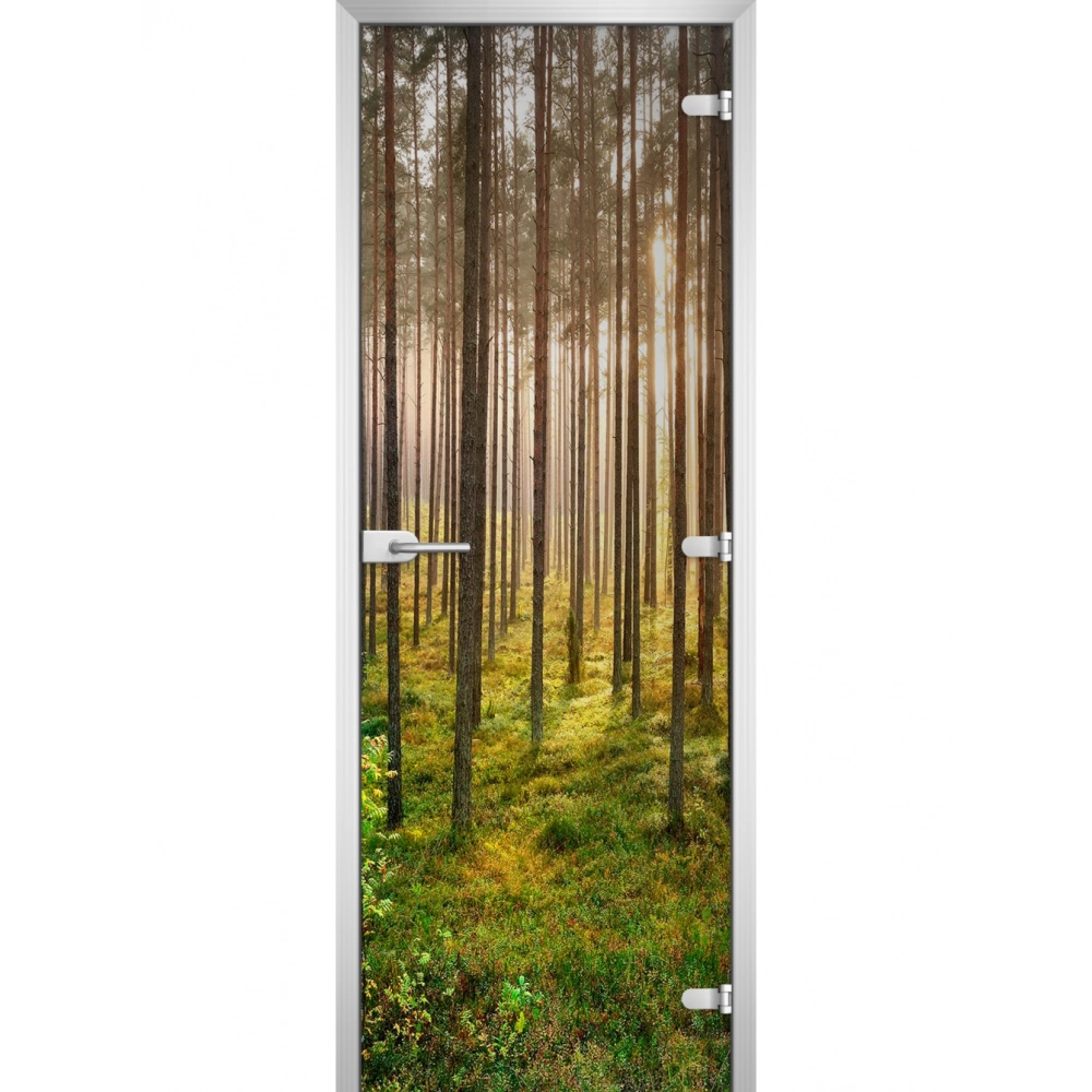 Стеклянная дверь Forest-13