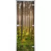 Стеклянная дверь Forest-13