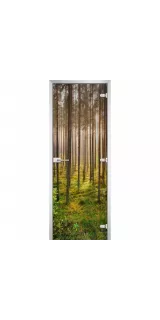 Стеклянная дверь Forest-13