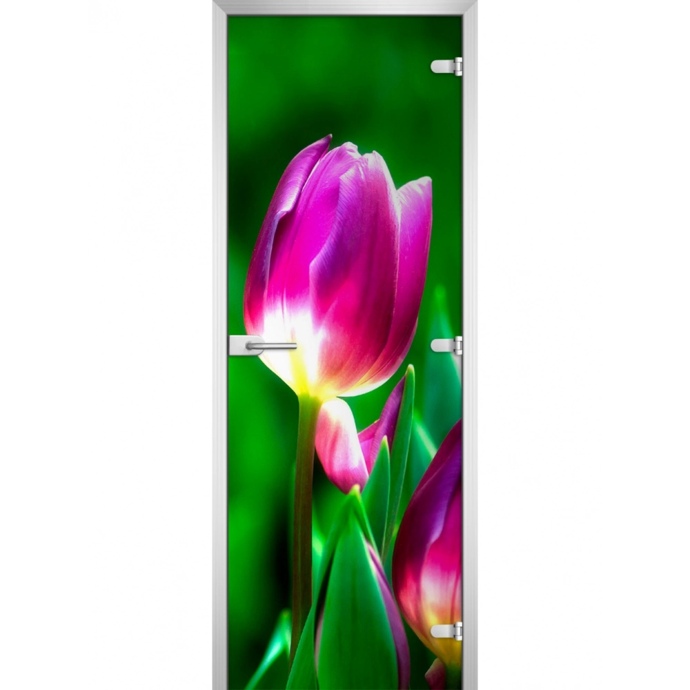 Стеклянная дверь Flowers-15
