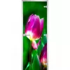 Стеклянная дверь Flowers-15