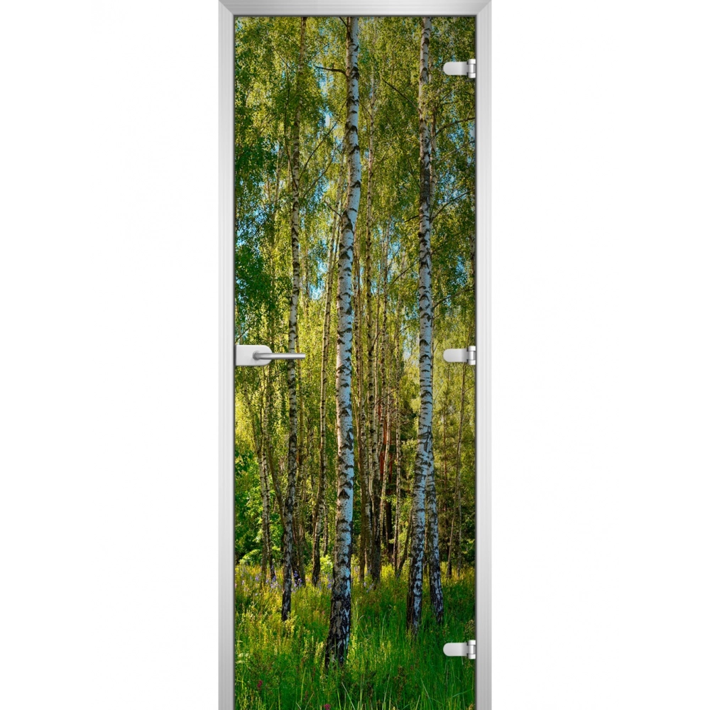 Стеклянная дверь Forest-20