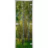 Стеклянная дверь Forest-20