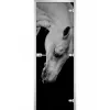 Стеклянная дверь Animals-11
