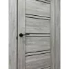 Межкомнатная дверь экошпон Atum Pro 28 Stone Oak Black Gloss со стеклом