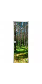 Межкомнатная дверь стеклянная FOREST 03 с фотопечатью