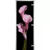 Стеклянная дверь Flowers-02
